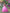 Sleeping Beauty Aurora Princess Dress Up Costume Set - Birthday, Party, Christmas, Holiday Gift