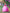 Sleeping Beauty Aurora Princess Dress Up Costume Set - Birthday, Party, Christmas, Holiday Gift