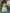Unicorn Tutu Dress Rainbow Tulle Dress Girls Party Birthday Costume READY TO SHIP