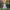 Unicorn Tutu Dress Rainbow Tulle Dress Girls Party Birthday Costume READY TO SHIP