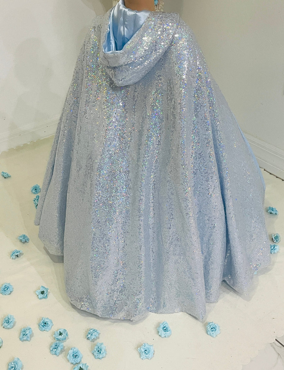Cinderella-Inspired Blue Gown – Sequined Accents & Lace Bodice