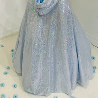 Cinderella-Inspired Blue Gown – Sequined Accents & Lace Bodice