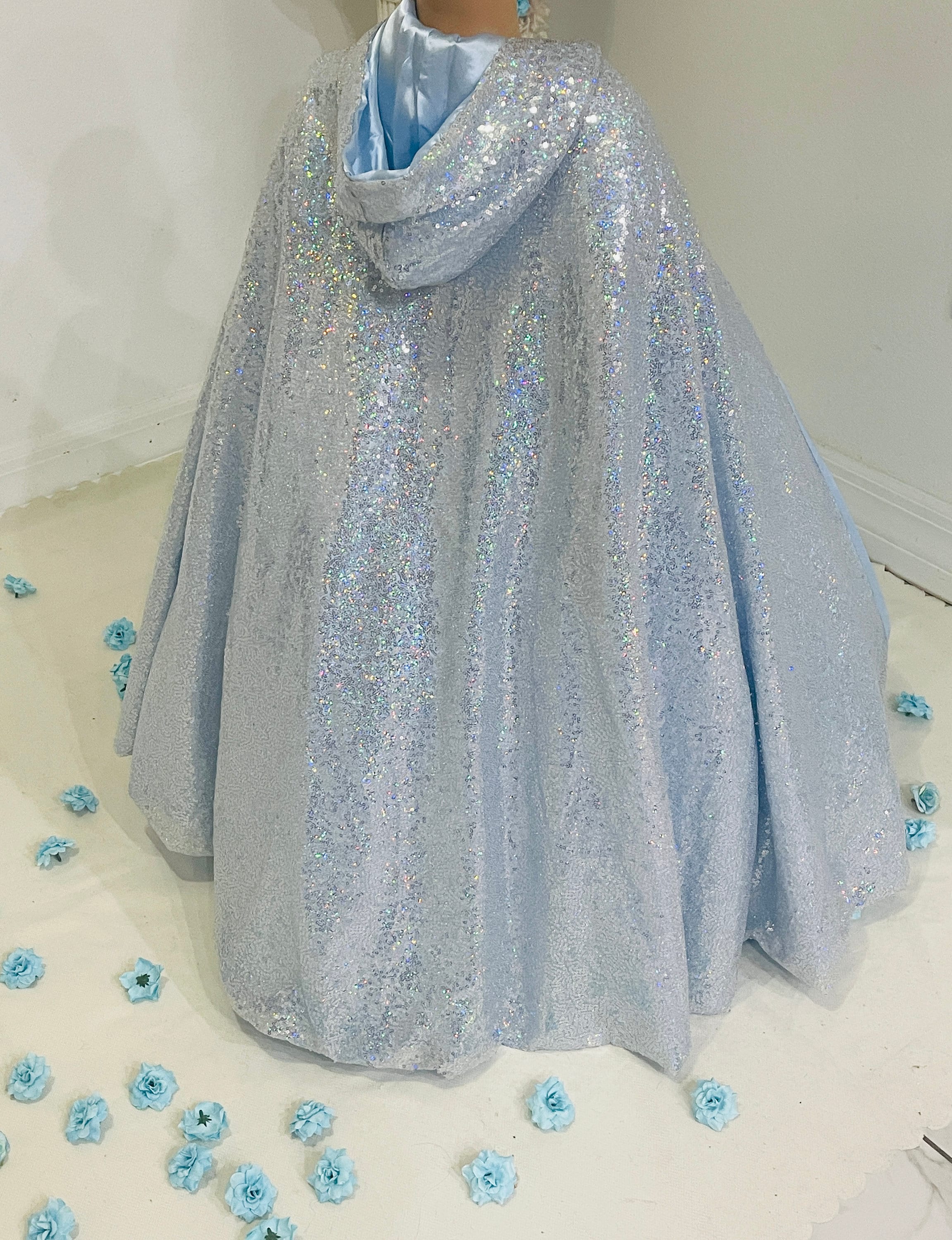 Cinderella-Inspired Blue Gown – Sequined Accents & Lace Bodice