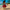 Princess Moana Inspired Birthday Party Dress Up