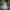 Cinderella-Inspired Blue Gown – Sequined Accents & Lace Bodice