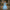 Cinderella-Inspired Blue Gown – Sequined Accents & Lace Bodice