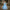 Cinderella-Inspired Blue Gown – Sequined Accents & Lace Bodice