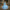 Cinderella-Inspired Blue Gown – Sequined Accents & Lace Bodice