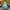 Cinderella Dress: Blue Ball Gown with Sequin Cape & Accessories