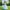 Cinderella-Inspired Gown – Lace Bodice & Tulle Skirt