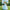 Cinderella-Inspired Gown – Lace Bodice & Tulle Skirt