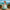 Ariel Inspired Mermaid Costume: Iridescent Scale Dress-Up Set