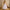 Rainbow Unicorn Princess Dress – White Floral Bodice & Tulle Skirt