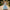 Cinderella-Inspired Blue Gown – Puff Sleeves & Lace Bodice