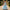 Cinderella-Inspired Blue Gown – Puff Sleeves & Lace Bodice