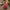 Jasmine-Inspired Princess Dress – Magenta & Teal Boutique Costume with Accessories for Birthdays, and Theme parks.