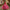 Jasmine-Inspired Princess Dress – Magenta & Teal Boutique Costume with Accessories for Birthdays, and Theme parks.