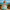 Ariel Inspired Mermaid Costume: Iridescent Scale Dress-Up Set