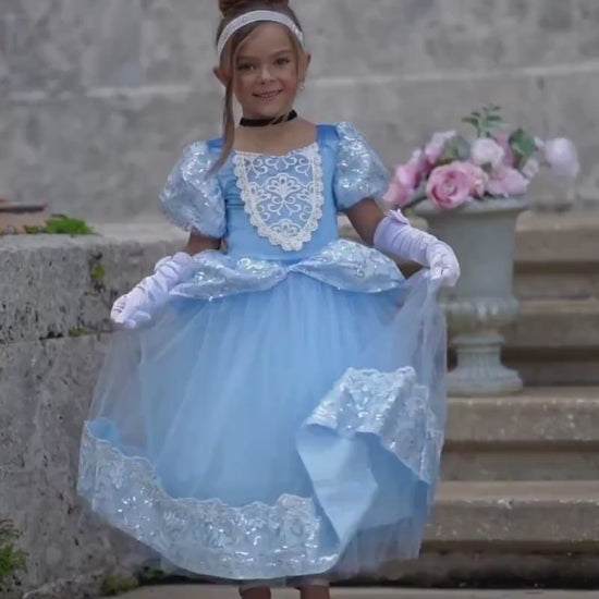 Cinderella Inspired Princess Dress Deluxe Costume Set, Birthday Party Grown For Girls