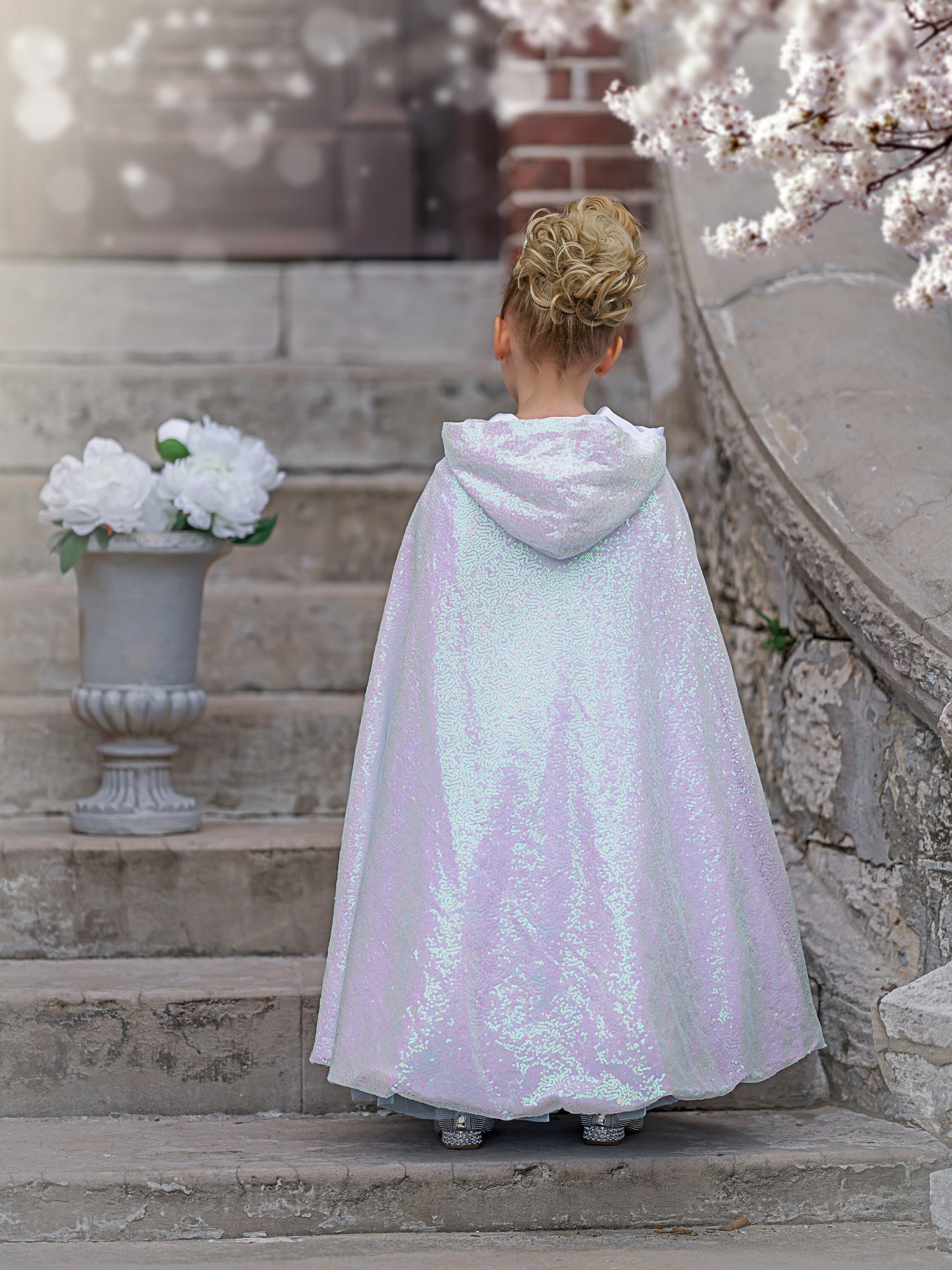 Elsa Inspired Princess Embroidery with Sequin Ball Gown Dress-Up Set, Ideal for Girls' Birthday Parties, Christmas Gift